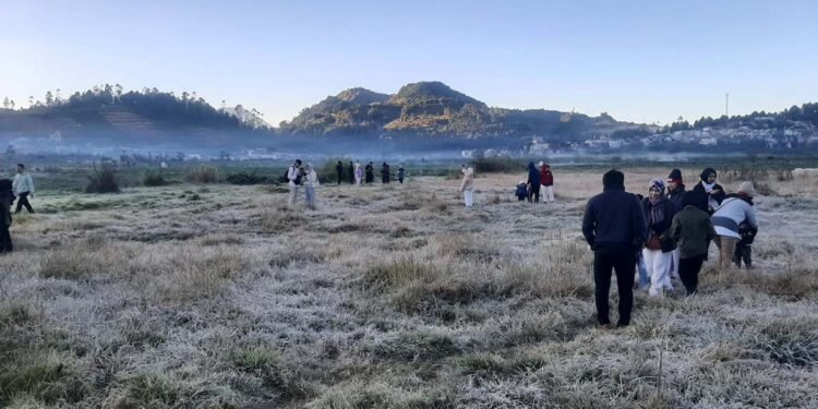 Embun beku kembali menyelimuti kompleks Candi Arjuna Dieng